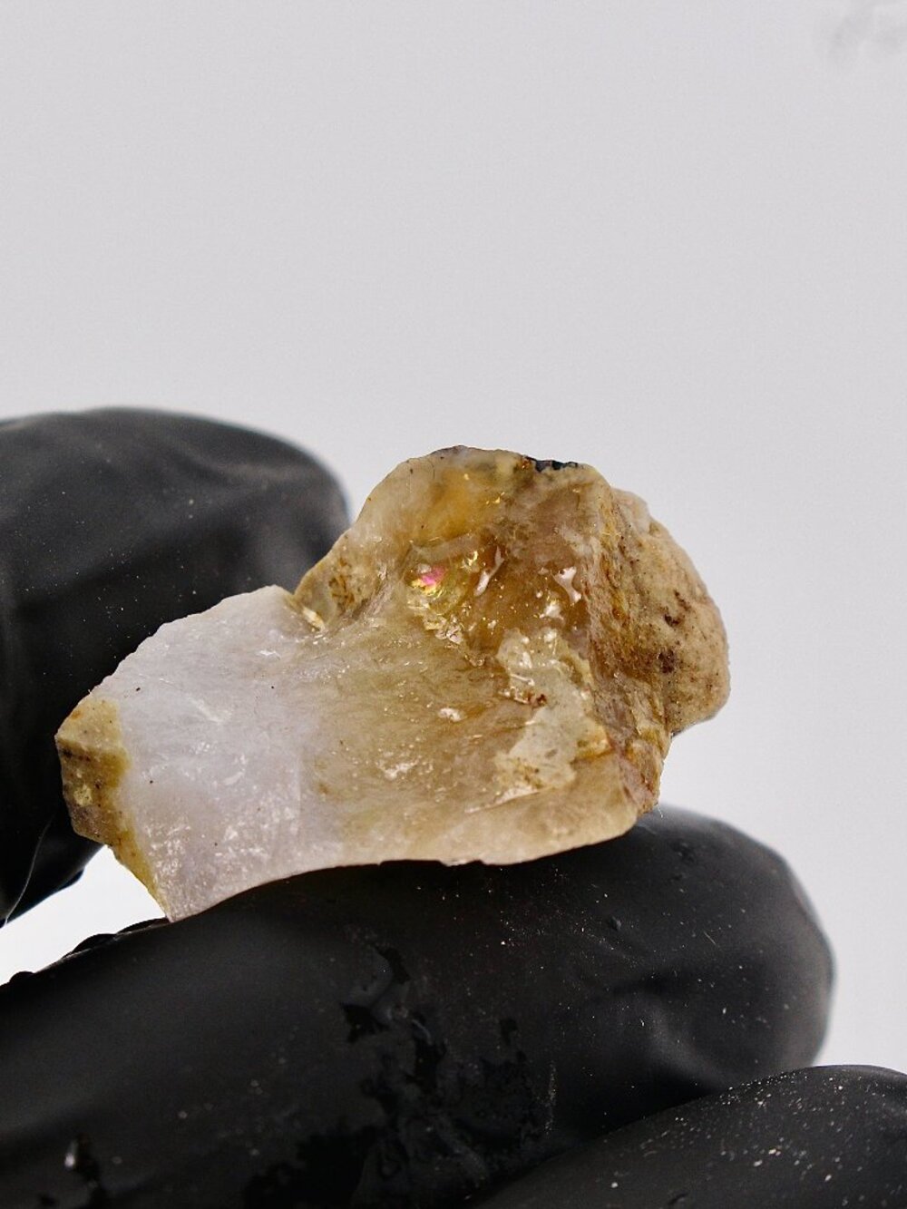 Virgin Valley Opal Petrified Wood Log Limb Cast Raw Rough Specimin Nevada 4.2g